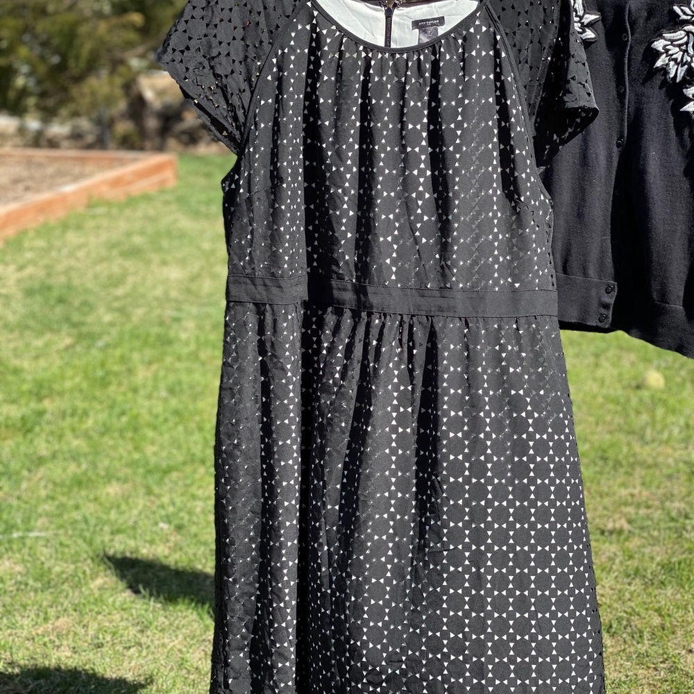 Ann Taylor 18 cutout overlay cap sleeve dress